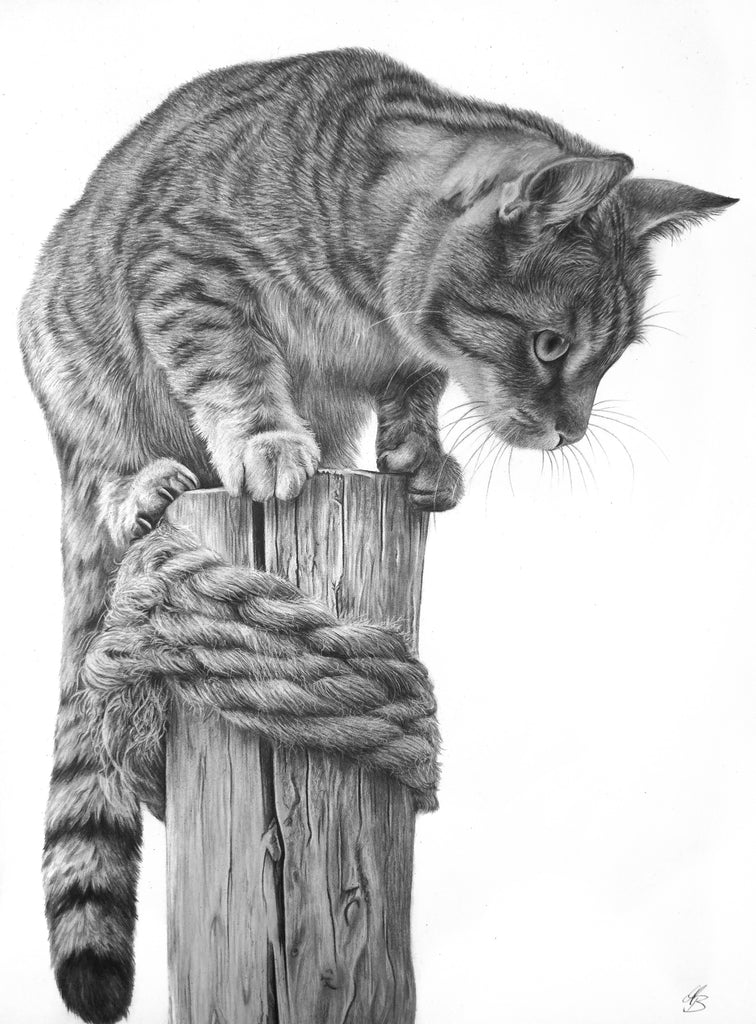 Maria Bartusek - Auf der Lauer