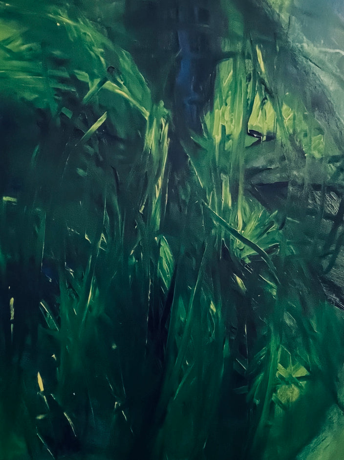 Elisabeth Pein - Falls Licht der Bäume