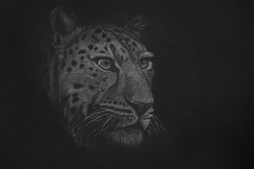 Bernhard Meixner - Leopard II