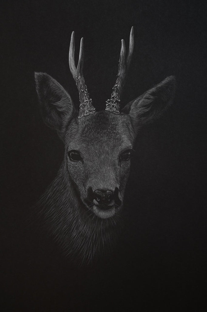 Bernhard Meixner - Rehbock