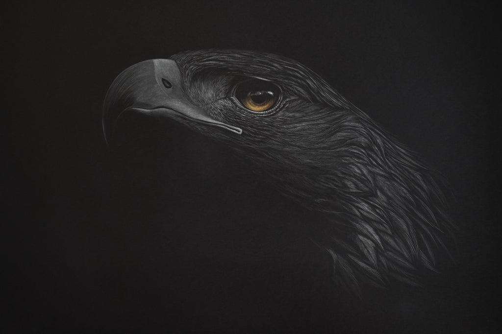 Bernhard Meixner - Steinadler