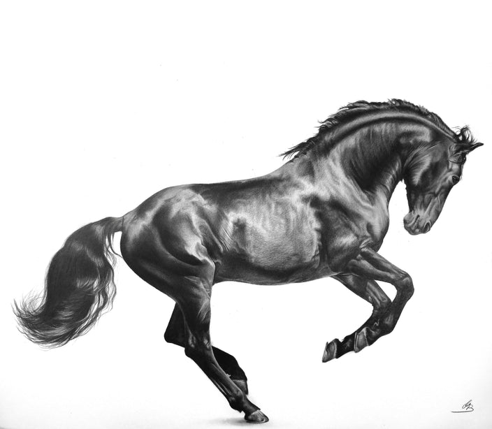 Maria Bartusek - Timeless Grace