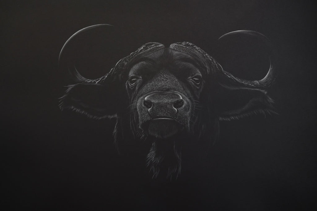 Bernhard Meixner - Water buffalo