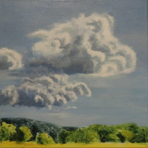 Sabine Griesser - Die Wolke