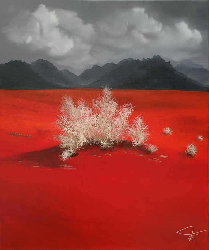 Guillaume Engelen - Hart in der Wüste