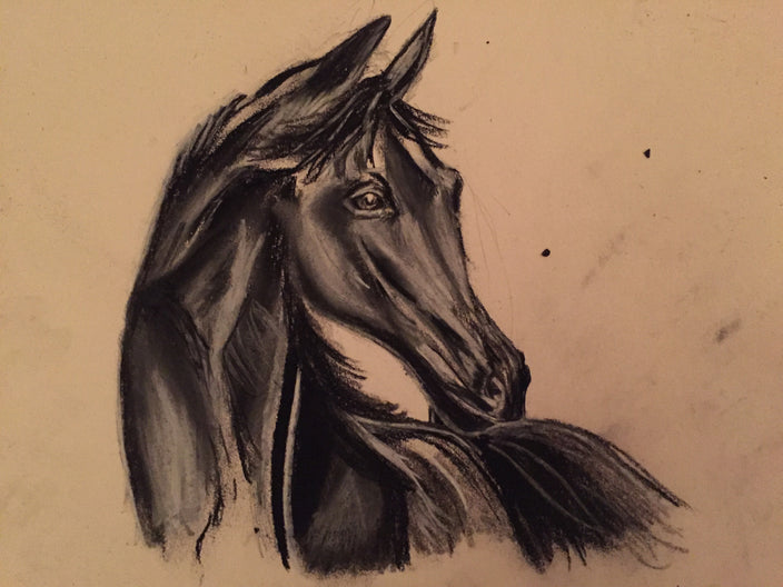 Qendresa Miroci - Das schwarze Pferd