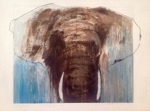 Christian Schmidt - Der Elefant