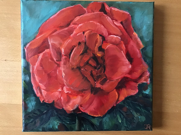 Irene Aebersold - Rote Rose