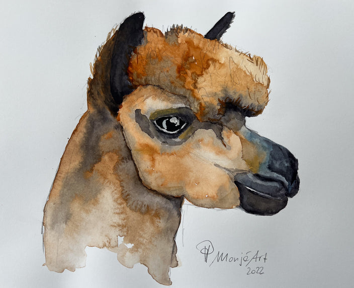 Priska Heri Monjé - Alpaka