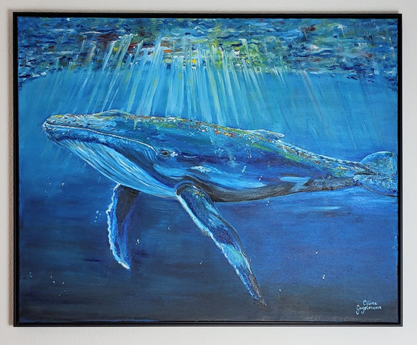 Celine Gugelmann - Blauwal