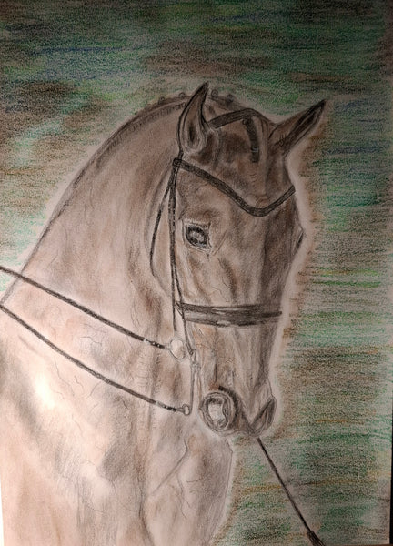 Jeannette Bruhn - Elitesport