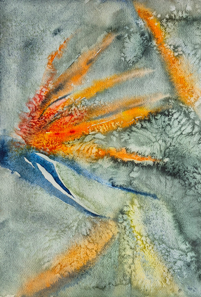 Susanne Weisweiler - Paradiesvogelblume, Strelitzie