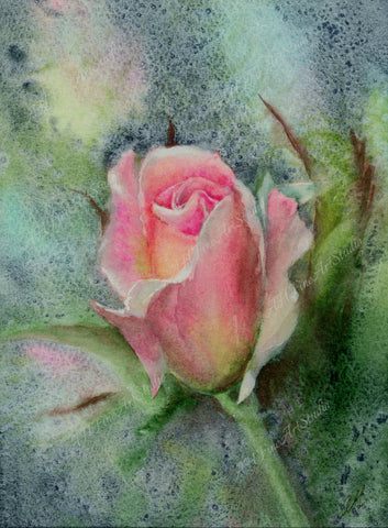 Anna Hagenbuck - Blushing Rose