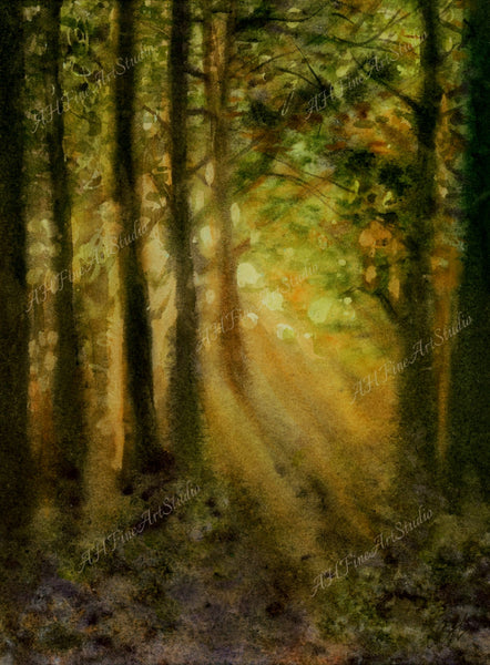 Anna Hagenbuck - Touch of Sun