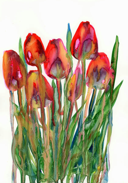 Anna Hagenbuck - Tulpen
