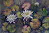 Anna Hagenbuck - Nymphaea