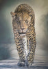 Maria Bartusek - Leopard