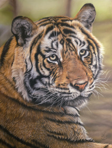 Maria Bartusek - Soul of the Wild