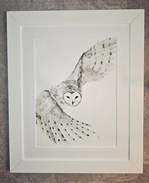 Anika Kaiser - Schneeeule