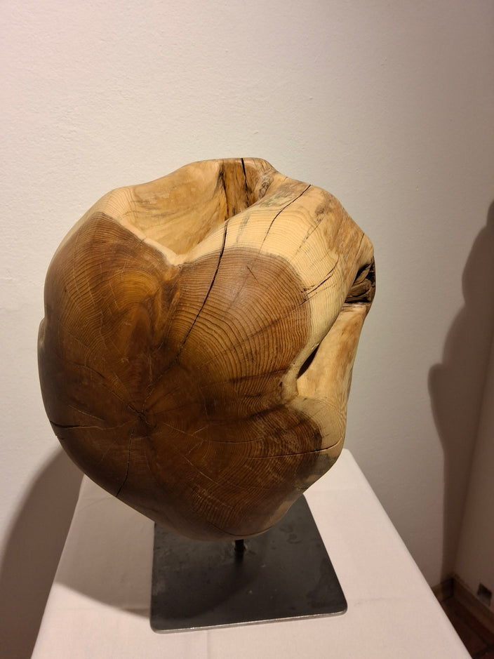 Josef Ganzenbacher - Eibennuss