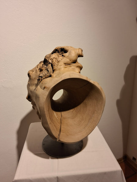 Josef Ganzenbacher - Durchblick