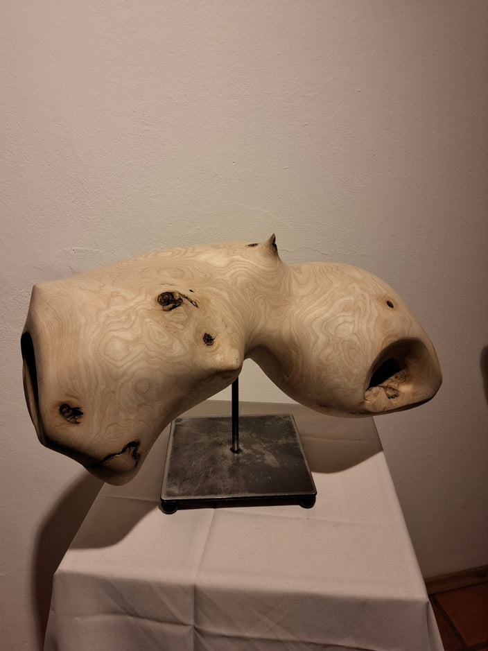 Josef Ganzenbacher - Madenwurm