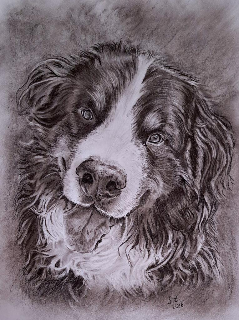 Sabine Zepuntke - Berner Sennenhund Jazz
