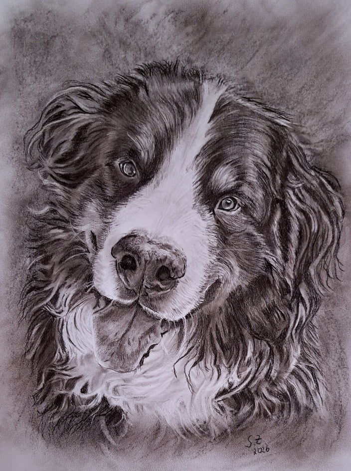 Sabine Zepuntke - Berner Sennenhund Jazz
