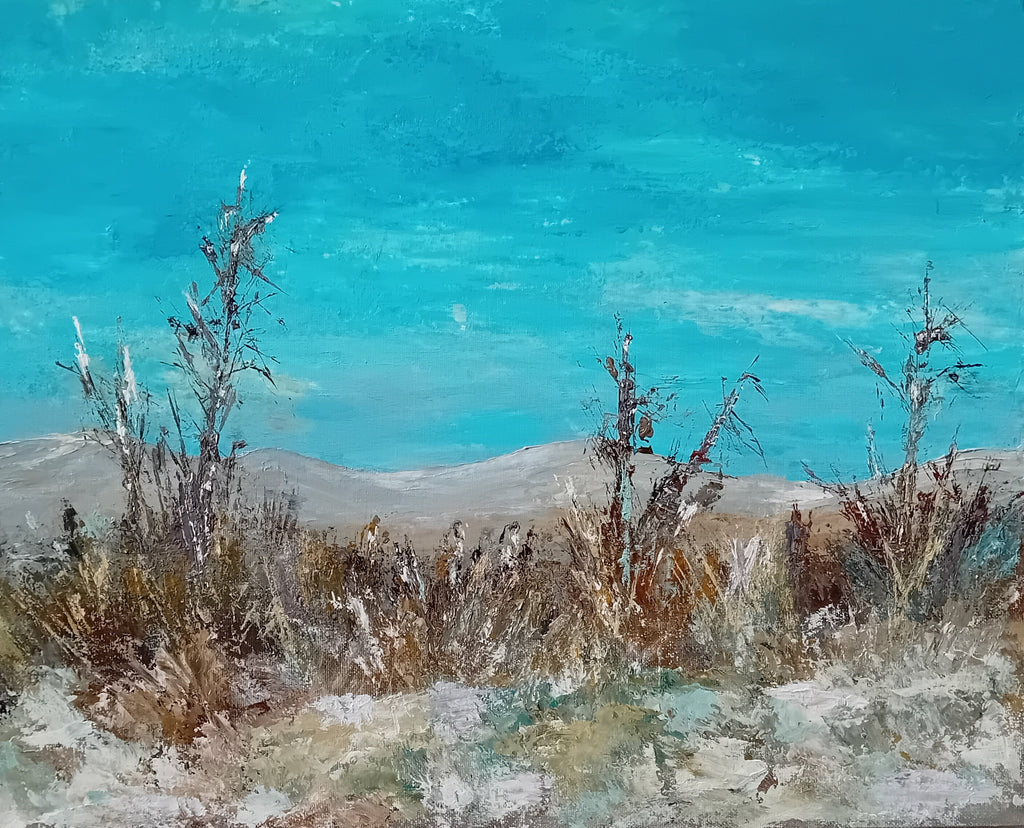 Sonja Tillmann - Winter in der Vulkanlandschaft