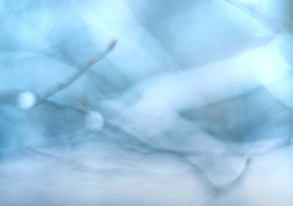 Anika Baumeister - Abstrakte Makrofotografie eines Winterzweigs