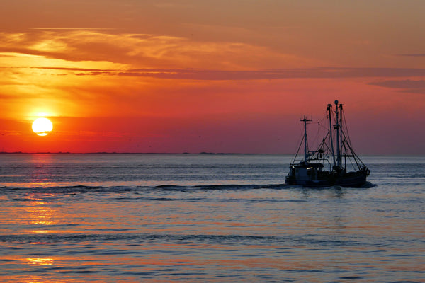 Wolfgang Tuttlies-Kolberg