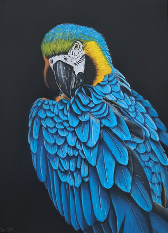 Katrin Prietz - Azure Spirit