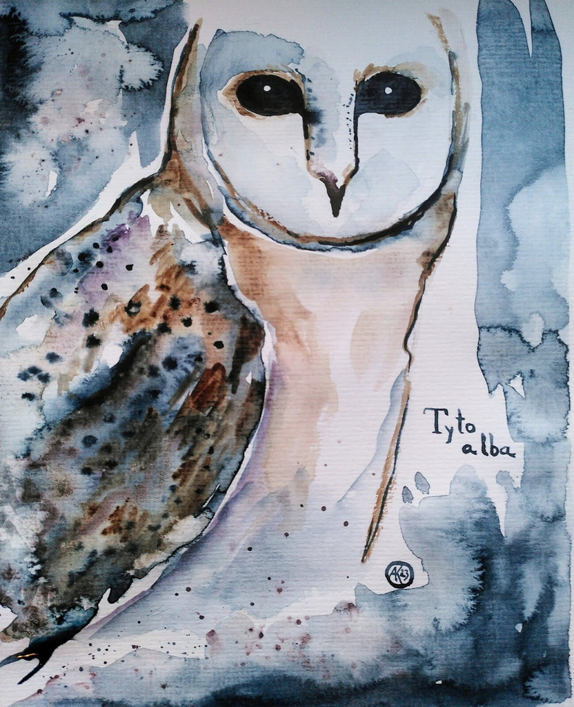 Antje König - Barn Owl I