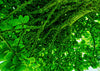 Anika Baumeister - Unter dem Baum
