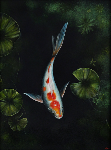 Carolin Niedermaier - Koi
