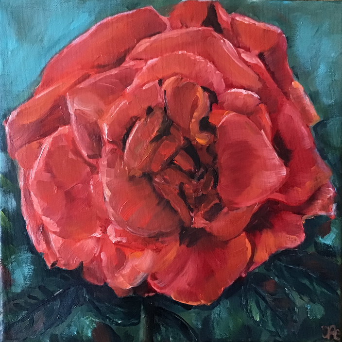 Irene Aebersold - Rote Rose