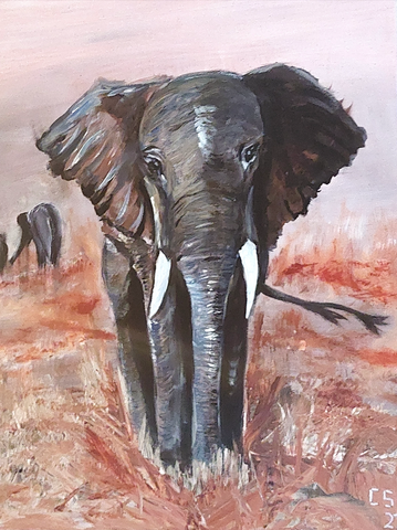 Christian Schulze - Elefant