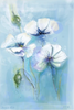 Vanessa Teuscher - Weisser Mohn