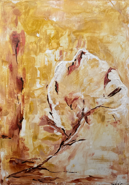 Silvia Popa - Rose