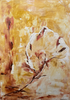 Silvia Popa - Rose