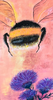 Kathrin B. Brassel - Hummel Hummel