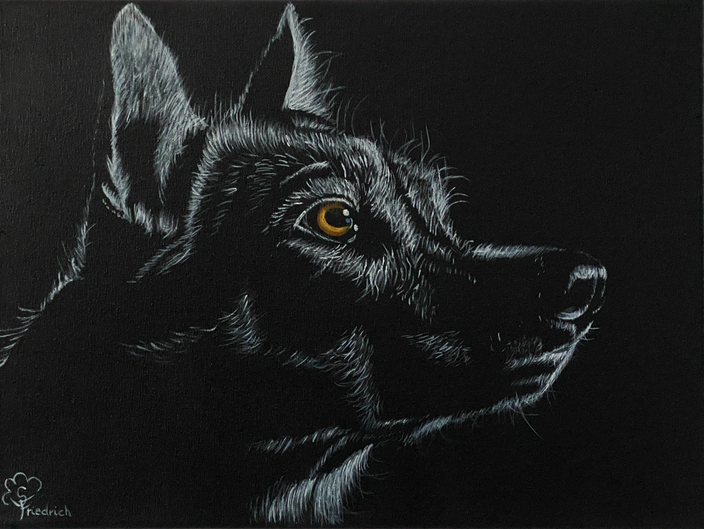 Susanne Friedrich - Zwischen Instinkt und Stille