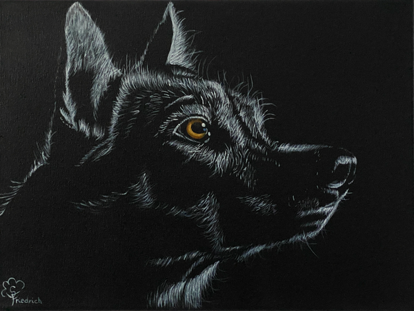 Susanne Friedrich - Zwischen Instinkt und Stille