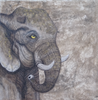 NEA - Elephant.Spirit