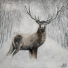 Angelika Schmidt - Hirsch im Schnee