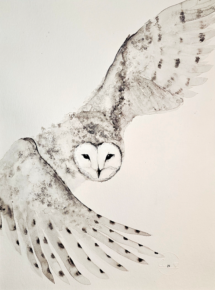 Anika Kaiser - Schneeeule