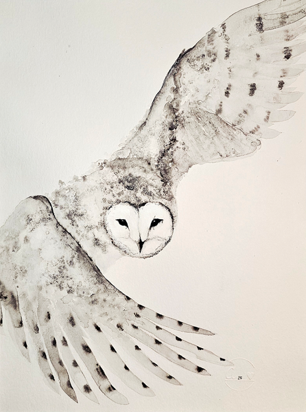 Anika Kaiser - Schneeeule
