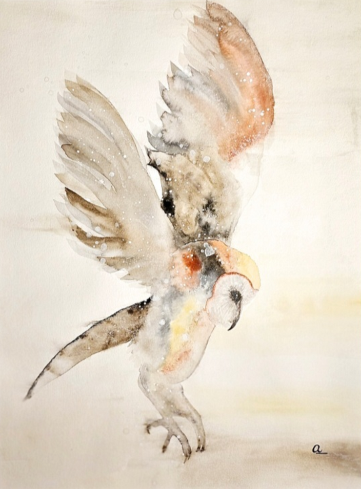 Anika Kaiser - Schleiereule