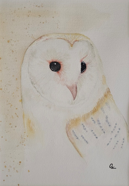 Anika Kaiser - Schleiereule Portrait