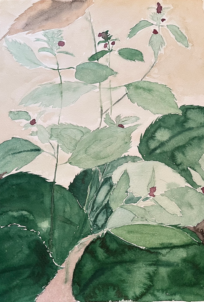 Karl Strebel - Giftzwerg